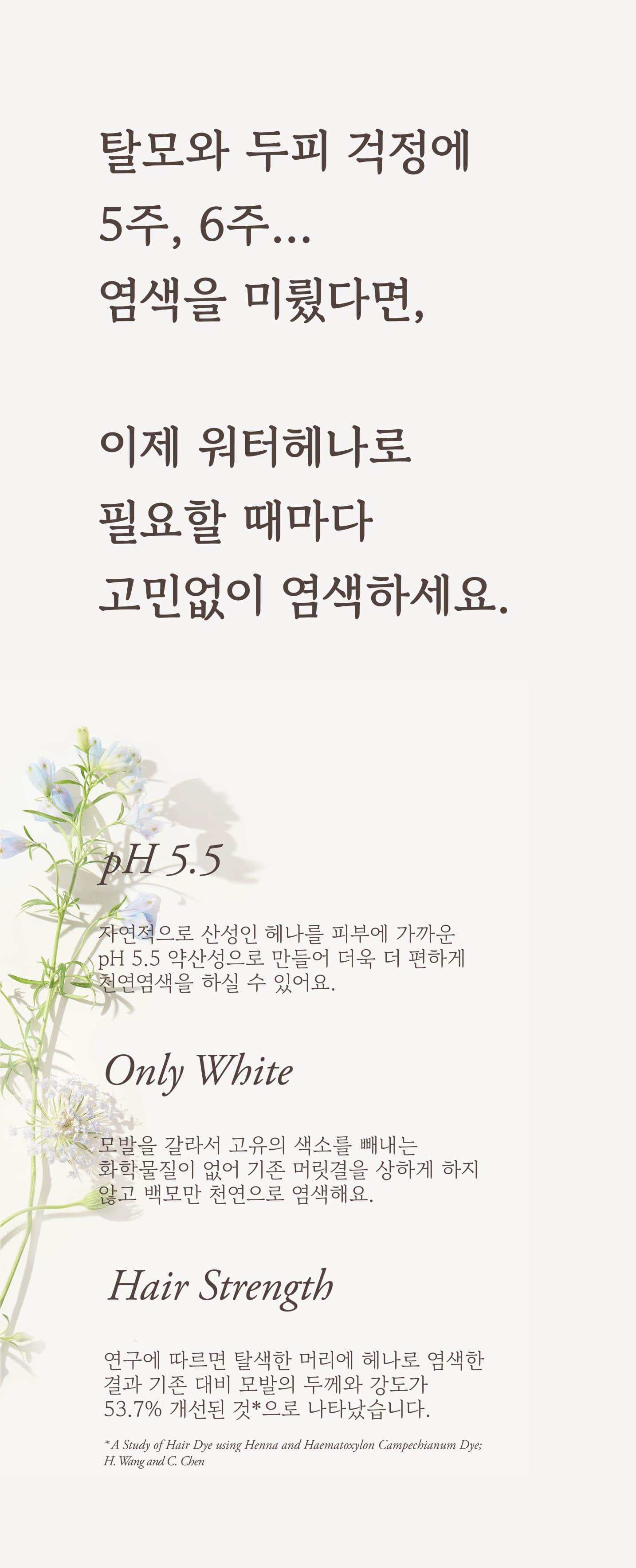 워터헤나 헤나&인디고 세트 상세 4