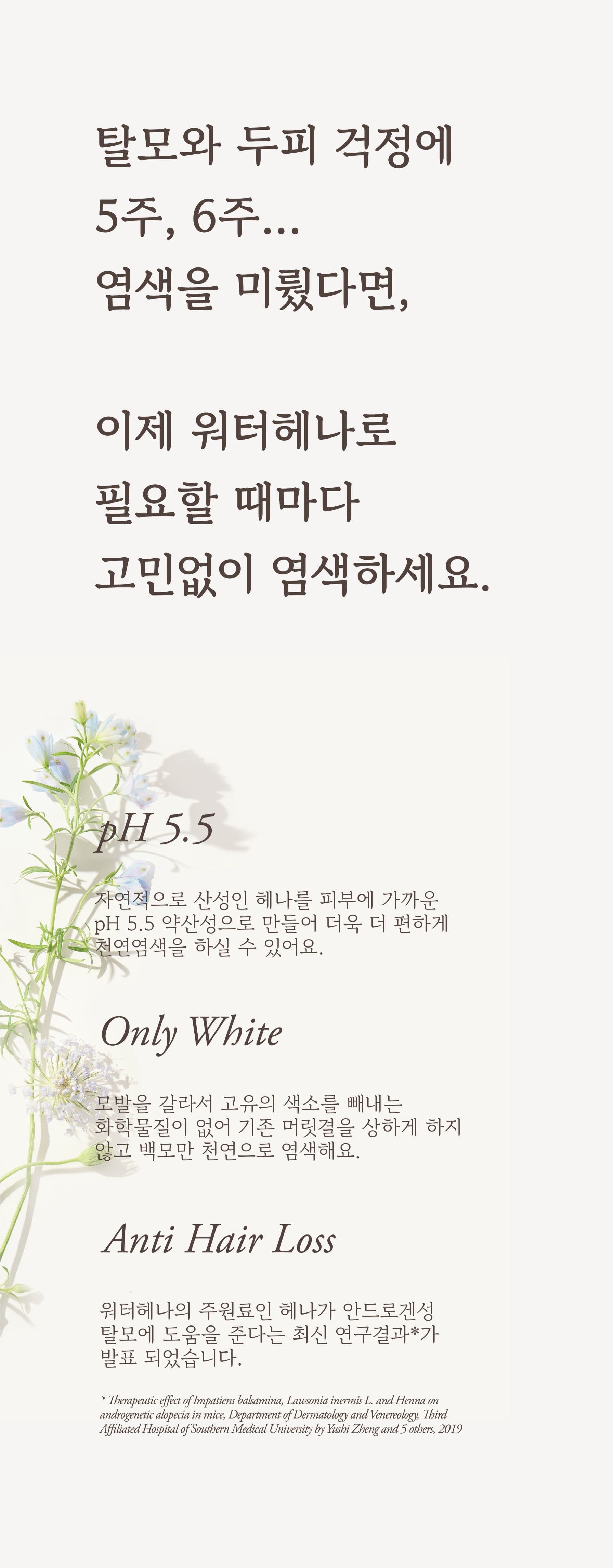 워터헤나 헤나 1세트 상세 5