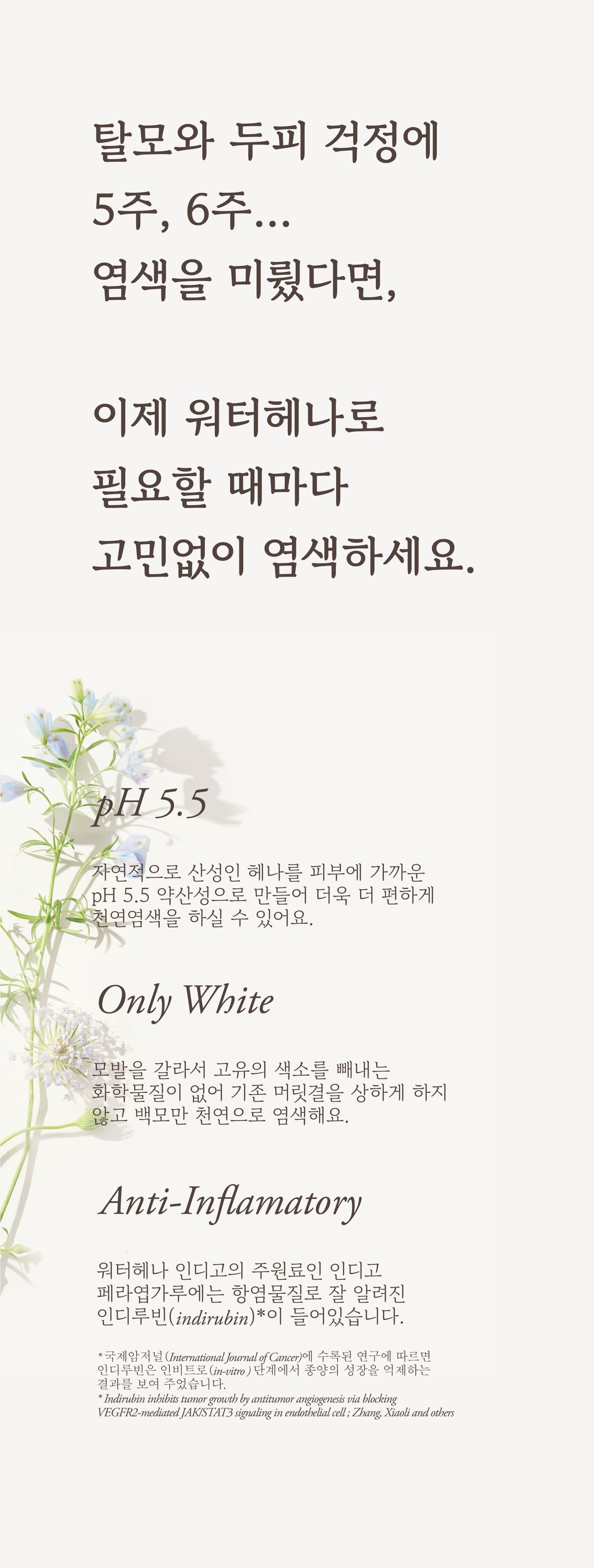 워터헤나 인디고 1세트 상세 5